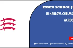 Essex School Jobs