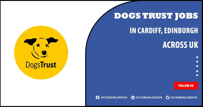 Dogs Trust Jobs