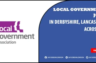 local government jobs